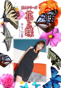 素人シリーズ 花と蝶 Vol.504