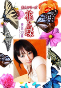 素人シリーズ 花と蝶 Vol.1060