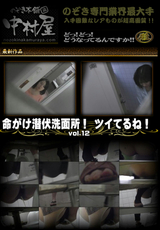 命がけ潜伏洗面所! ツイてるね! Vol.12